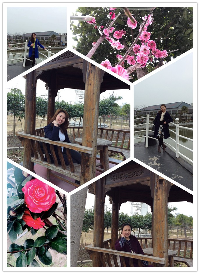 1552640007137606.png 圖片7.png